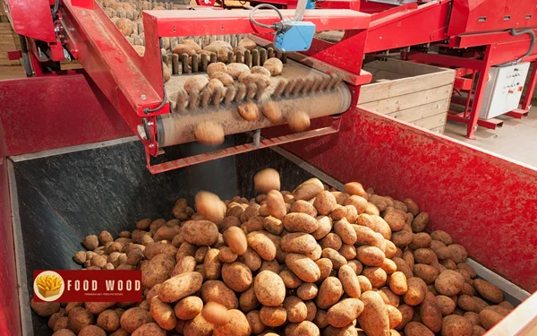 3   food processing line